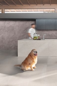 Imagem de um homem e um cachorro em uma cozinha