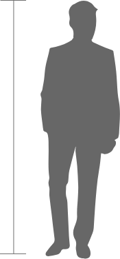 scale