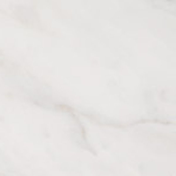 Golden Calacata Portobello