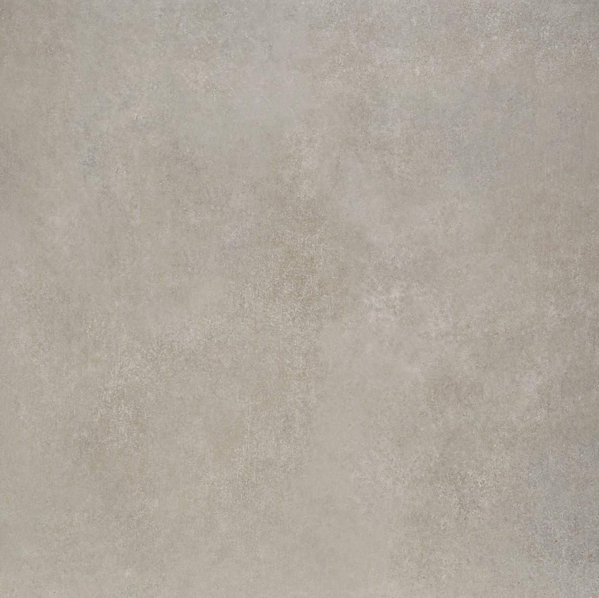 Foggy Gray Portobello