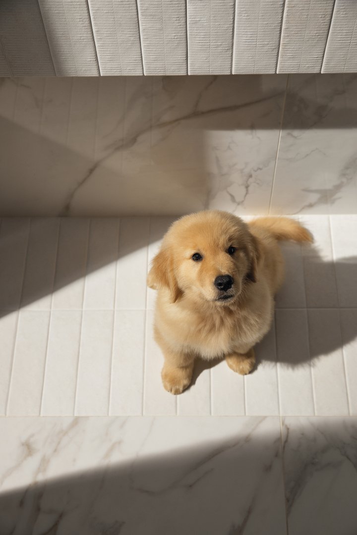 HORIZONTES SANTORINI 