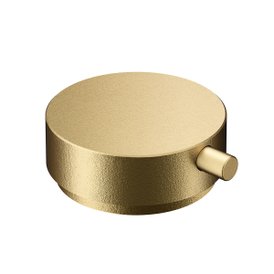 Acionamento de Torneira Para Banheiro Conexões Espontâneas Ouro Jateado
