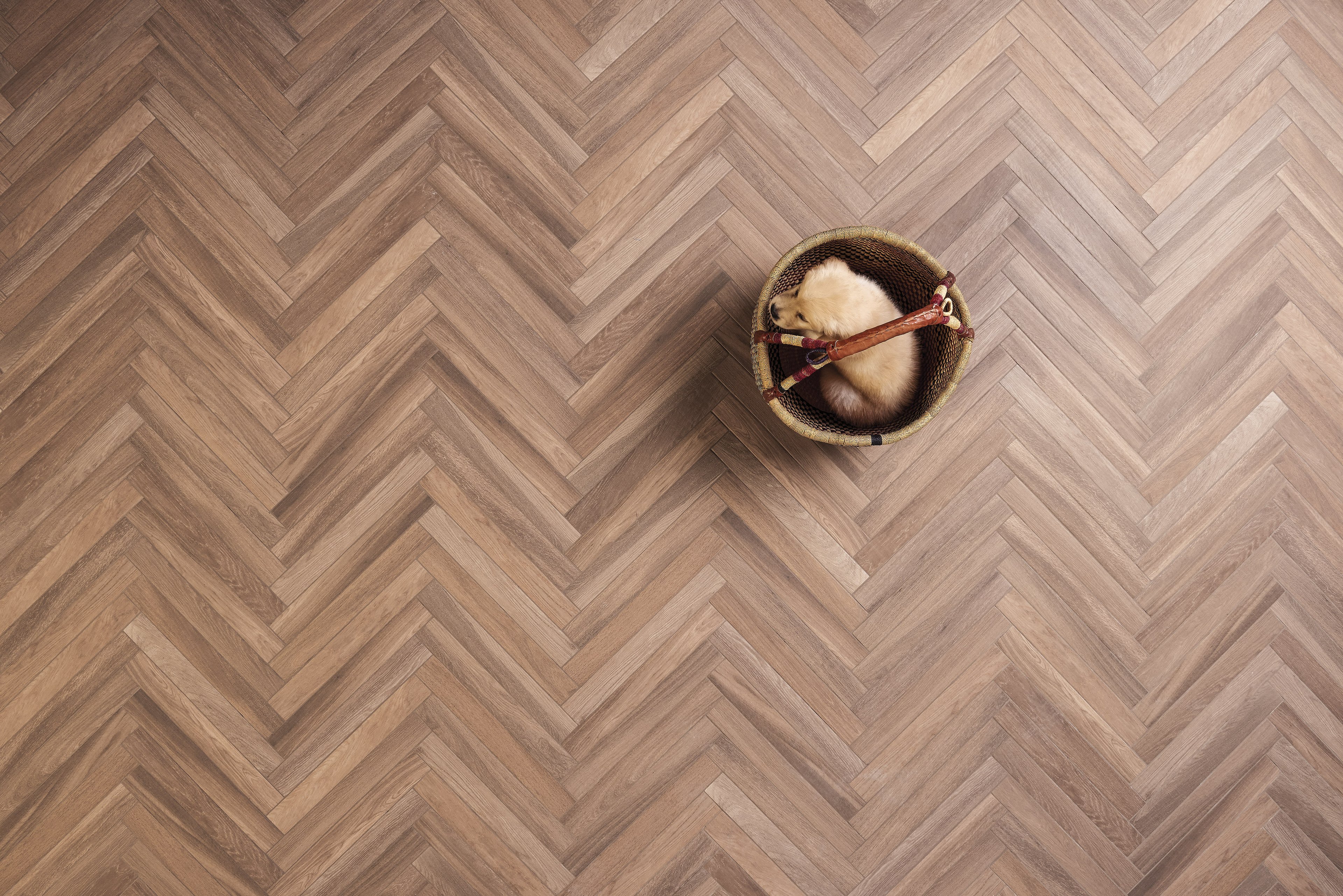 Accesorios Mini Parquet Forest Portobello
