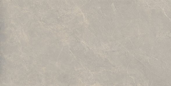 BLOOMY FOG 60X120 Natural Rectified