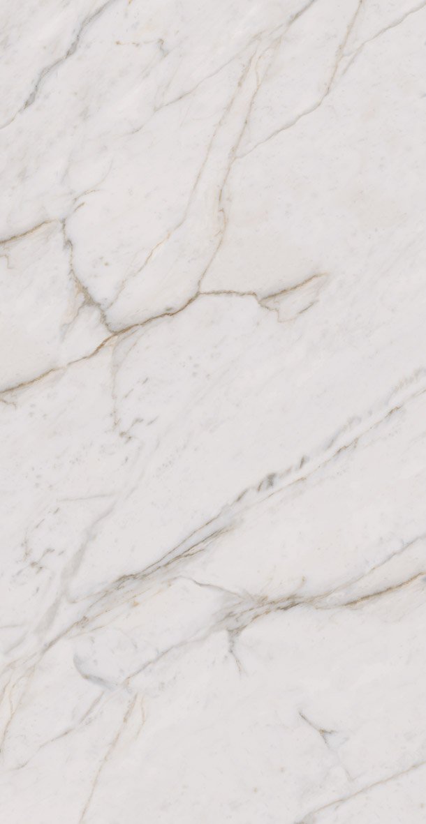 Golden Calacata Portobello